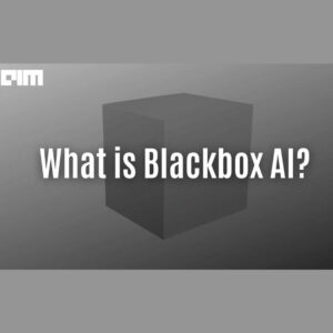 blackbox ai